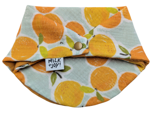 Leafy Clementine Bib